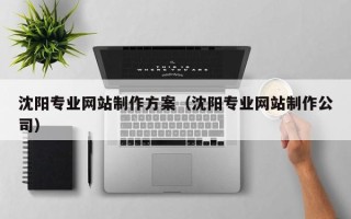馆陶沈阳专业网站制作方案（沈阳专业网站制作公司）